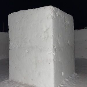 Meet your Posher, Annie